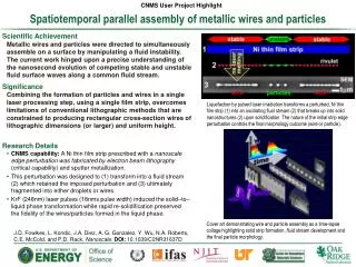 Spatiotemporal parallel assembly of metallic wires and particles