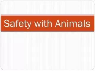 Safety with Animals