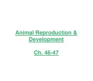 Animal Reproduction &amp; Development Ch . 46-47