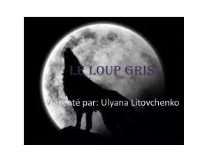 le loup gris