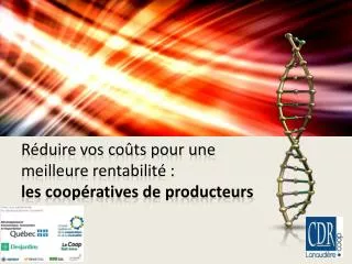 Réduire vos coûts pour une meilleure rentabilité : les coopératives de producteurs