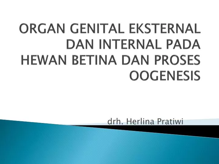 organ genital eksternal dan internal pada hewan betina dan proses oogenesis