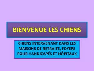 bienvenue les chiens