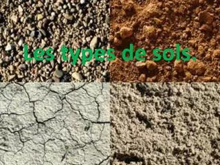 les types de sols