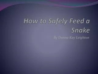 How to Safely Feed a Snake