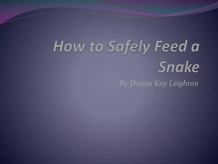 how to safely feed a snake
