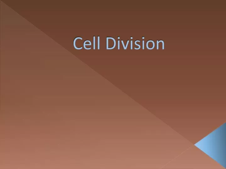 cell division