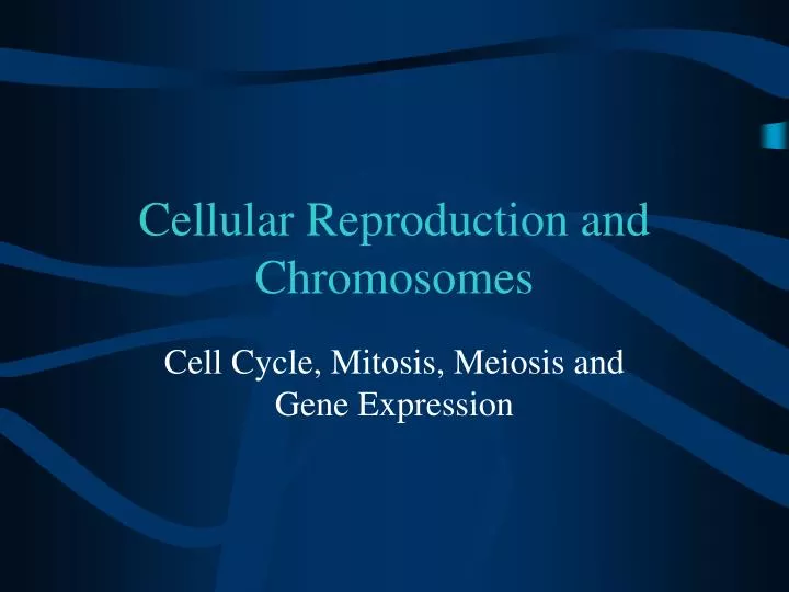 cellular reproduction and chromosomes