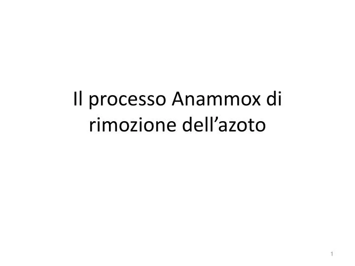 il processo anammox di rimozione dell azoto
