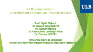 la bioremediation un traitement cr dible pour assainir les sols