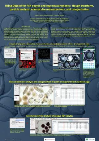 Hough transform; diameter measurements and categorization of live transparent eggs