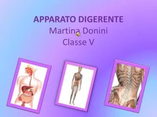 APPARATO DIGERENTE Martina Donini Classe V