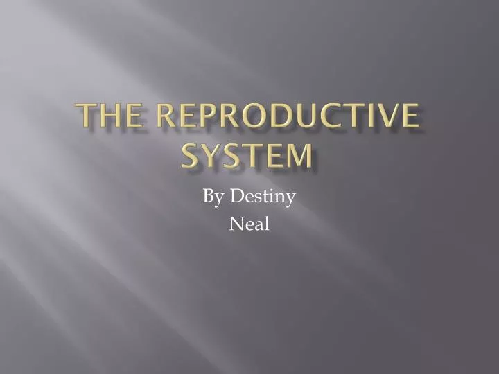 the reproductive system