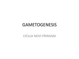 gametogenesis