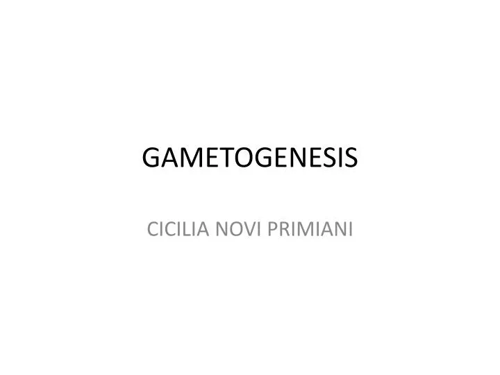 gametogenesis