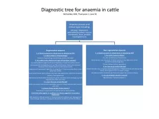 Diagnostic tree for anaemia in cattle McFadden AMJ, Thompson J, Love M.