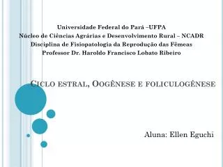 ciclo estral oog nese e foliculog nese