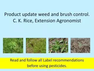 Product update weed and brush control . C . K. Rice, Extension Agronomist