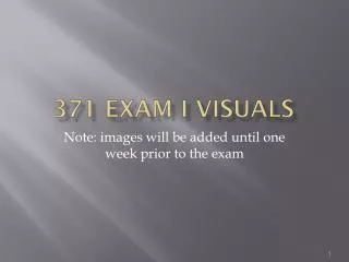 371 Exam I Visuals