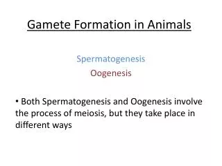 Gamete Formation in Animals