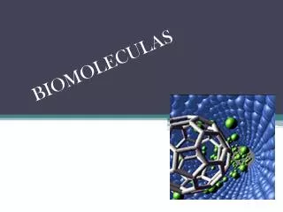 biomoleculas