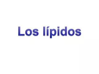 los l pidos