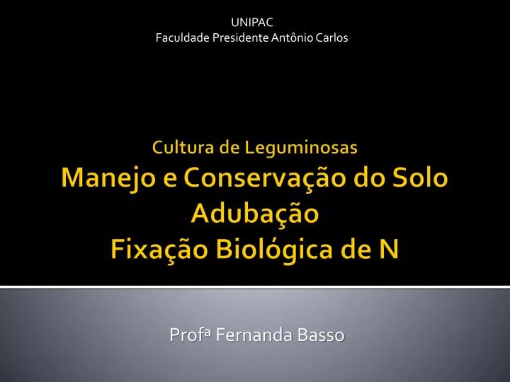 prof fernanda basso