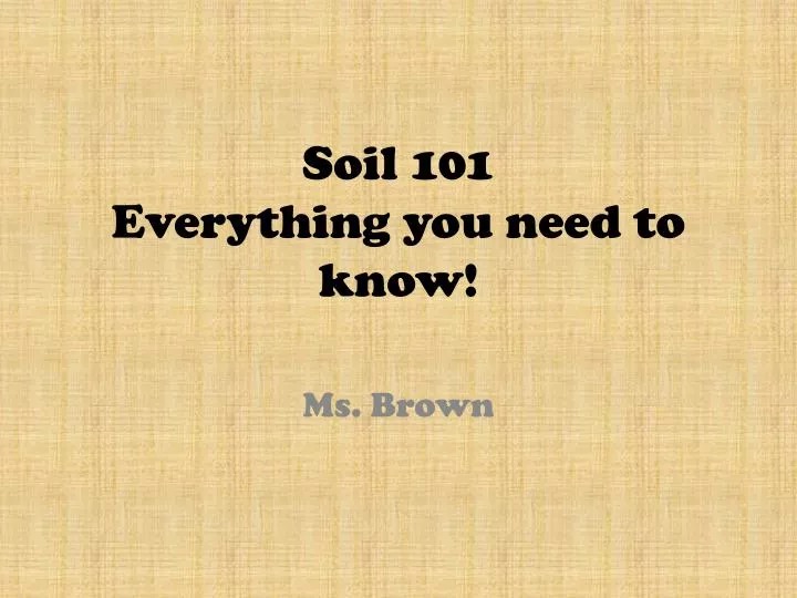 soil 101 everything you need to know