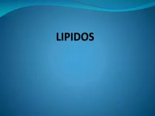lipidos