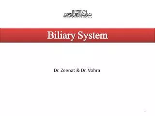 Biliary System