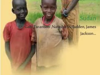 Sudan BY: Gabi Tarantino ,Natasha Mcfadden, James Jackson...
