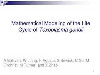 Mathematical Modeling of the Life Cycle of Toxoplasma gondii