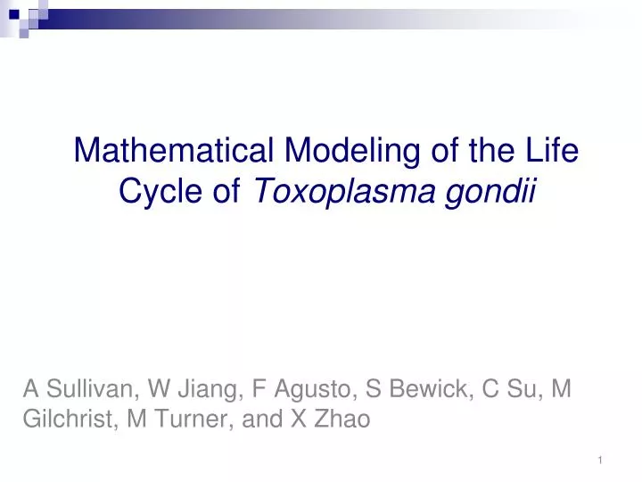 mathematical modeling of the life cycle of toxoplasma gondii