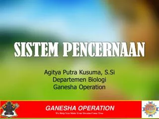 sistem pencernaan