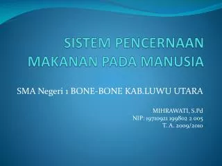 sistem pencernaan makanan pada manusia