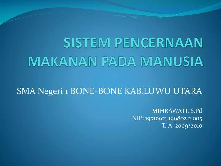 sistem pencernaan makanan pada manusia