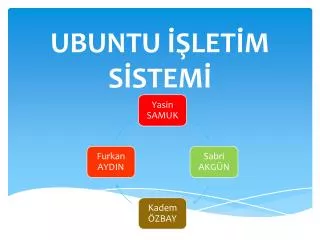 ubuntu let m s stem