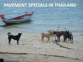 PAVEMENT SPECIALS IN THAILAND