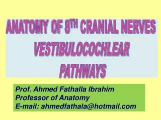 ANATOMY OF 8 TH CRANIAL NERVES VESTIBULOCOCHLEAR PATHWAYS
