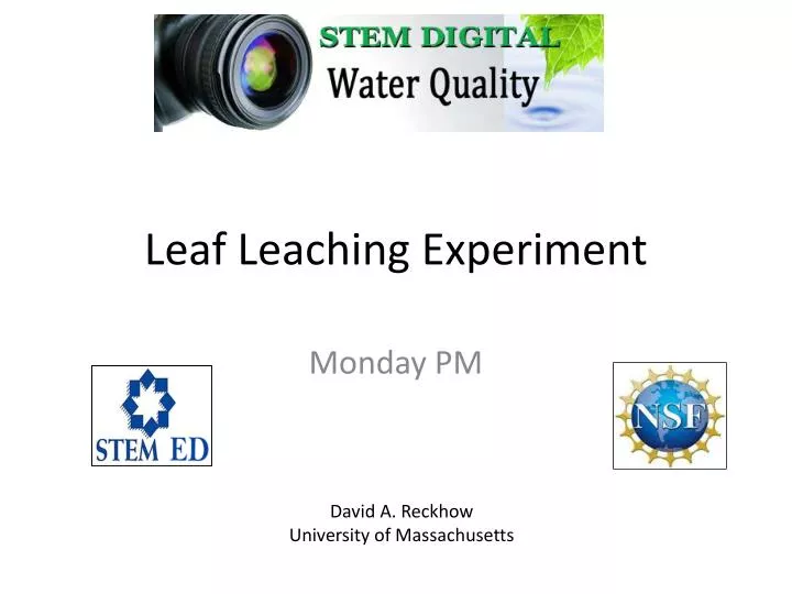 leaf leaching experiment