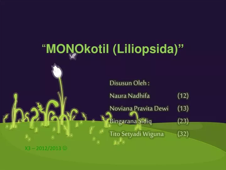 monokotil liliopsida