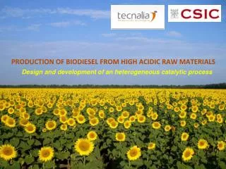PRODUCTION OF BIODIESEL FROM HIGH ACIDIC RAW MATERIALS