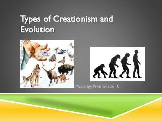 Types of Creationism and Evolution