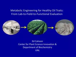Metabolic Engineering for Healthy Oil Traits: From Lab-to-Field-to-Functional Evaluation