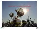 Omer Guy, Chief Agronomist - slide 1