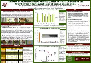 Inhibition of Phymatotrichopsis omnivora (Cotton Root Rot) Germination and