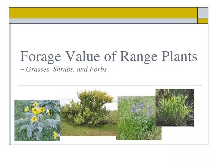 forage value of range plants grasses shrubs and forbs