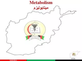 metabolism