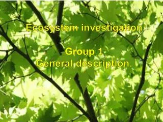 Ecosystem investigation Group 1 General description.