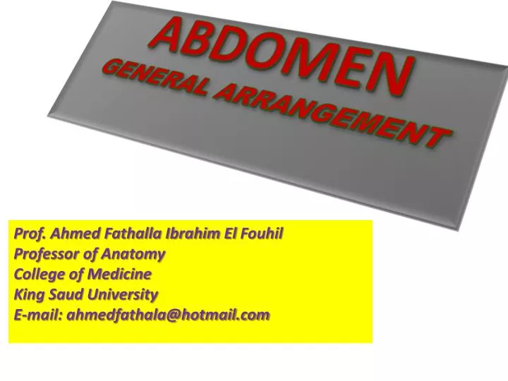 abdomen general arrangement